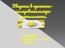 Введение в проектно-исследовательскую деятельность