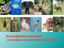 Урок 2 Основные систематические единицы