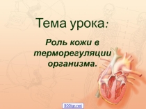 Презентация по биологии  Терморегуляция 9 класс