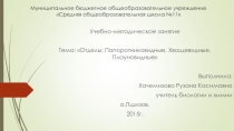 Презентация по биологии на тему Отделы папоротниковидные, хвощевидные, плауновидные (7 класс)