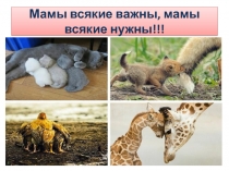 Презентация к дню матери  Мамы всякие важны, мамы всякие нужны .