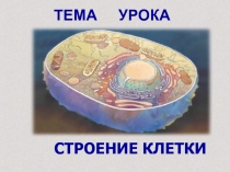 Урок по биологии для 5-го класса Строение клетки
