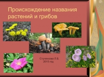 Презентация по русскому языку Происхождение названия растений и грибов