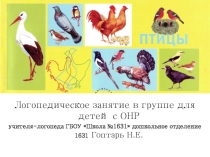 Презентация к логопедическому занятию в старшей группе для детей с ОНР по формированию лексико-грамматических категорий по теме Домашние птицы