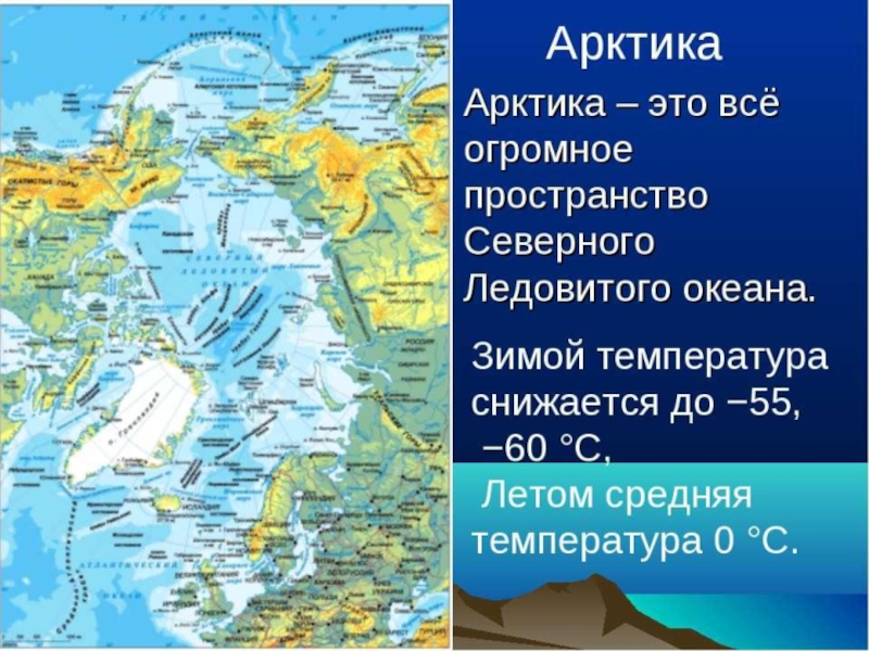 Растительный мир заполярных зон России , для старших дошкольников.