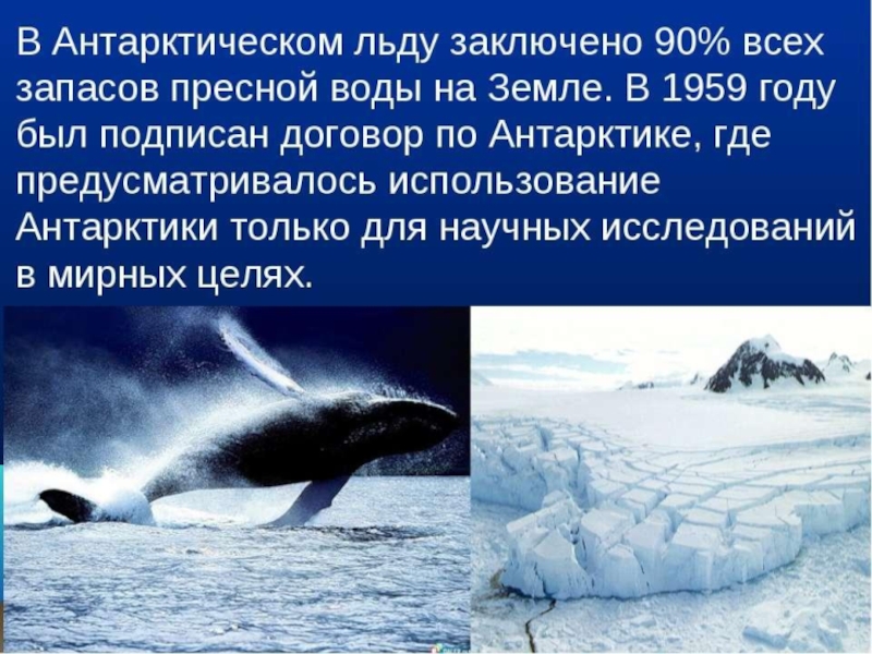 Растительный мир заполярных зон России , для старших дошкольников.