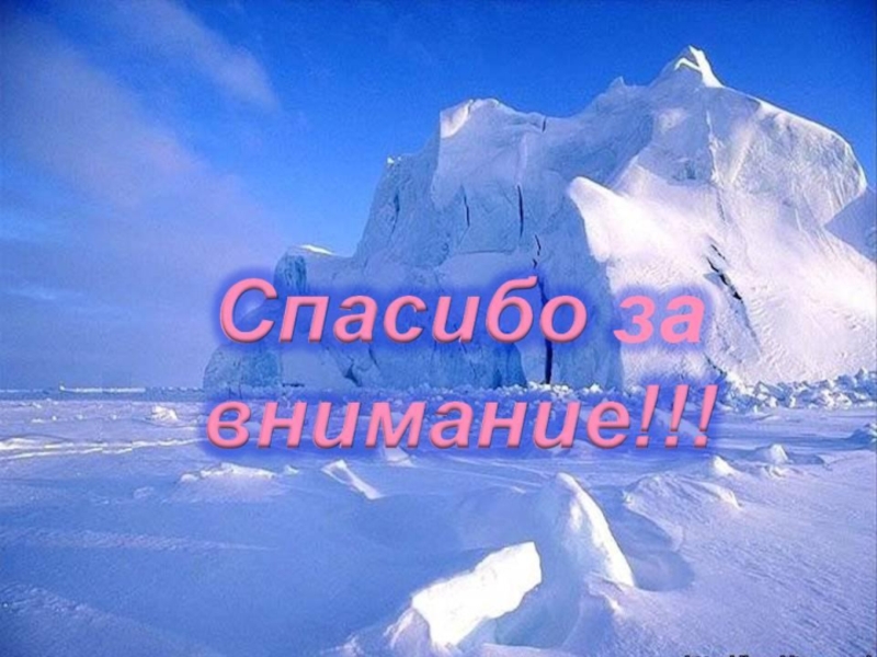 Растительный мир заполярных зон России , для старших дошкольников.