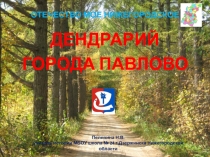 Презентация по краеведению. Дендрарий г.Павлово