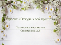 Презентация проектной деятельности Откуда хлеб пришёл, дошкольное образование