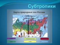 Презентация по окрухающему миру на тему Субтропики. 4класс ПНШ