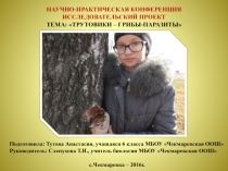 Презентация по биологии Трутовики-грибы-паразиты