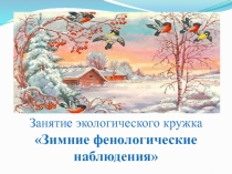 Презентация Зимние фенологические наблюдения
