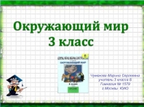 Презентация