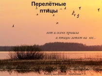 Перелетные птицы