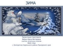 Презентация по окружающему миру Времена года. Зима (1 класс)