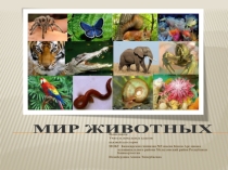 Презентация по окружающему миру на тему Мир животных (2 класс)