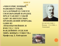 Презентация по биологии на тему Царство Грибы. Общая характеристика (7 класс0