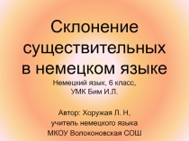 Презентация по немецкому языку Склонение существительных (6 класс)