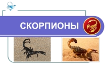 Презентация по предмету Окружающий мир на тему Пресмыкающиеся