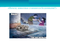 Презентация по обществознанию на тему:Бездомные животные в нашем обществе