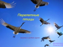 Презентация по ознакомлению с окружающим миром на тему Перелетные птицы