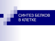 Презентация по биологии на тему Пластический обмен. Этапы биосинтеза белка: транскрипция и трансляция