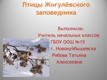 Презентация по окружающему миру на тему Птицы Жигулевского заповедника