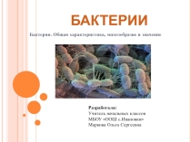 Презентация по окружающему миру на тему  Бактерии ( 3 класс)