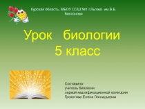 Презентация к уроку ВИДОИЗМЕНЕНИЯ КОРНЕЙ
