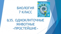 Презентация по Биологии на тему &35. Одноклеточные животные (Простейшие).  (7 класс)