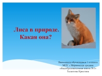 Презентация к исследовательской работе  Лиса в природе.Какая она?