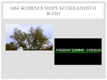 Презентация к занятию по физике по теме Распространение радиоволн. Радар