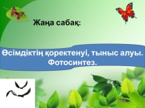 Фотосинтез - (8 класс)