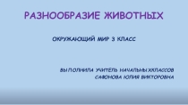 Презентация к уроку Окружающий мир 3 класс Разнообразие животных