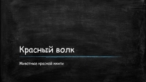 Красный волк