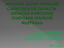 Презентация по биологии на тему Краткий обзор рептилий Саратовской области. Окраска и рисунок покровов Прыткой ящерицы