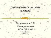 Роль железа в организме человека