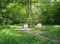 Презентация исследования Изучение соревновательной деятельности