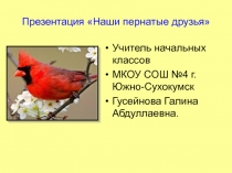 Презентация ко Дню птиц