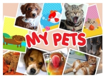 Презентация по теме MY PET