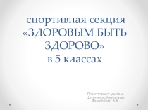 Внеурочная деятельность в 5 классе с оздоровительно-спортивной направленности.