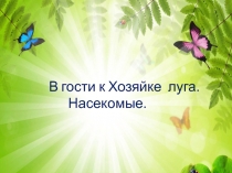 Презентация по познавательному развитию в старшей группе д\с.