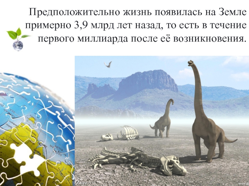 Творческий проект Прейма М. ученика 4 класса на тему:Планеты солнечной системы - уникальная планета Земля Предположительно жизнь появилась на Земле примерно 3,9 млрд лет назад, то Предположительно жизнь появилась на Земле примерно 3,9 млрд лет назад, то есть в течение первого миллиарда после