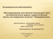 Презентация. Исследовательско-пректная работа:   Исследование состояния популяции тиса остроконечного вдоль туристической тропы на северном склоне г. Ливадийской.