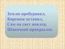 Презенация на тему Свежие грибы ,классификация,ассортимент