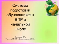 Презентация к совещанию Система подготовки обучающихся 4 класса к ВПР
