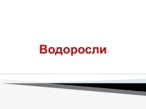 Презентация по биологии на тему:  Водоросли (5 класс)