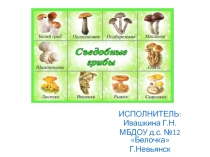 Презентация по экологии Грибы