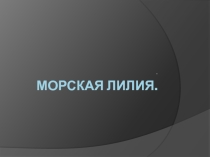 Презентация по биологии Лилии 7 класс