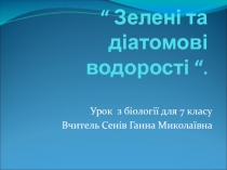 Презентация по теме: Зеленые и диатомовые водоросли (7 и 6 класс)